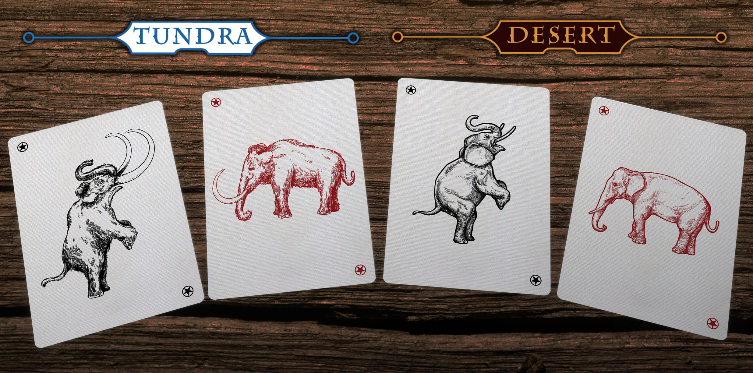 Bicycle elephant online deck
