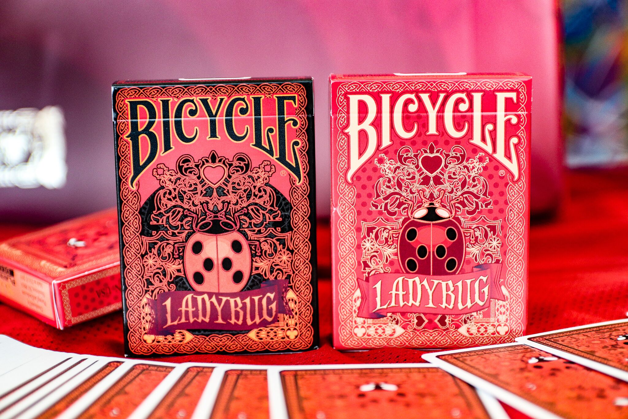 BICYCLE LADYBUG cards. Small and lovely bugs are everywhere - Max 