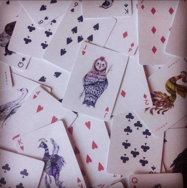 Aves_cards