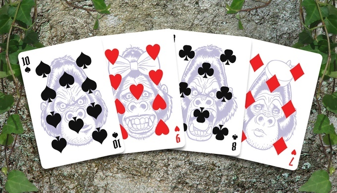 GorillaBicycleAlbino_cards02